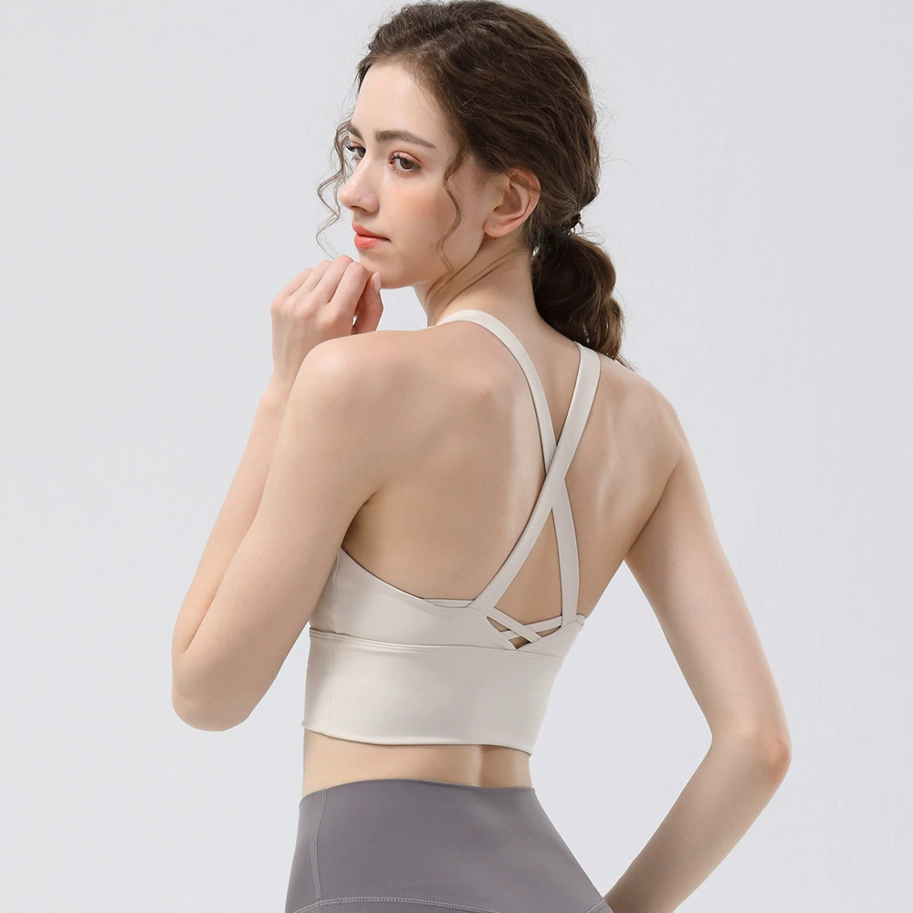 High Support Workout Bra for L - Yoga Daily Fitness 리뷰 및 가격